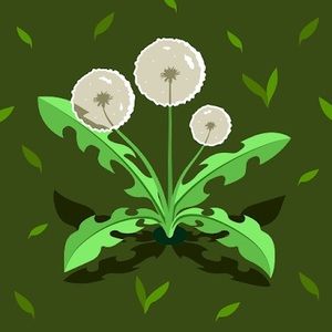 Meet your Posher, Isabella